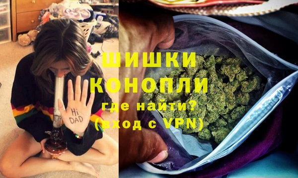 индика Аркадак