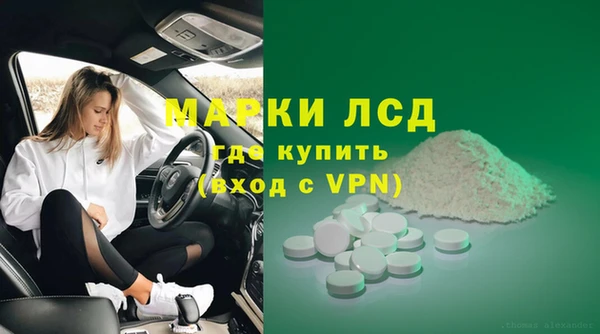 индика Аркадак