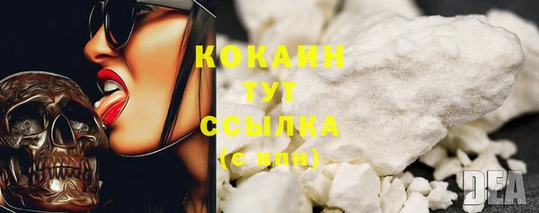 индика Аркадак
