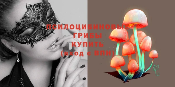 индика Аркадак