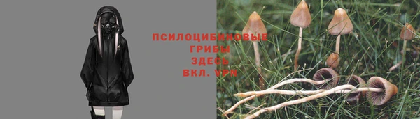 таблы Арсеньев