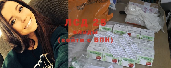 индика Аркадак