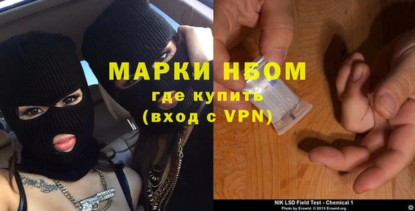 индика Аркадак