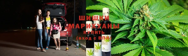 индика Аркадак